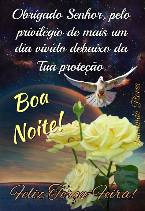 bom noite-4